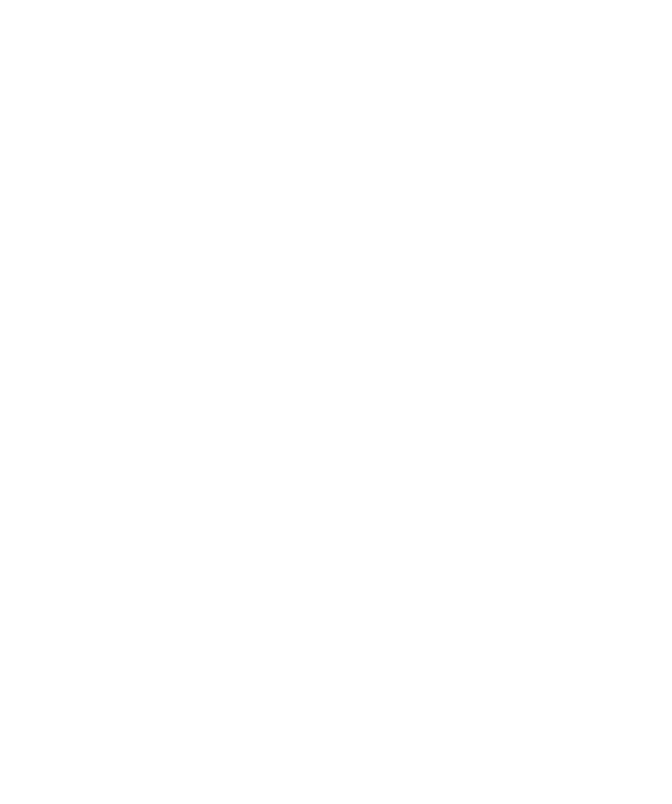 BonChef
