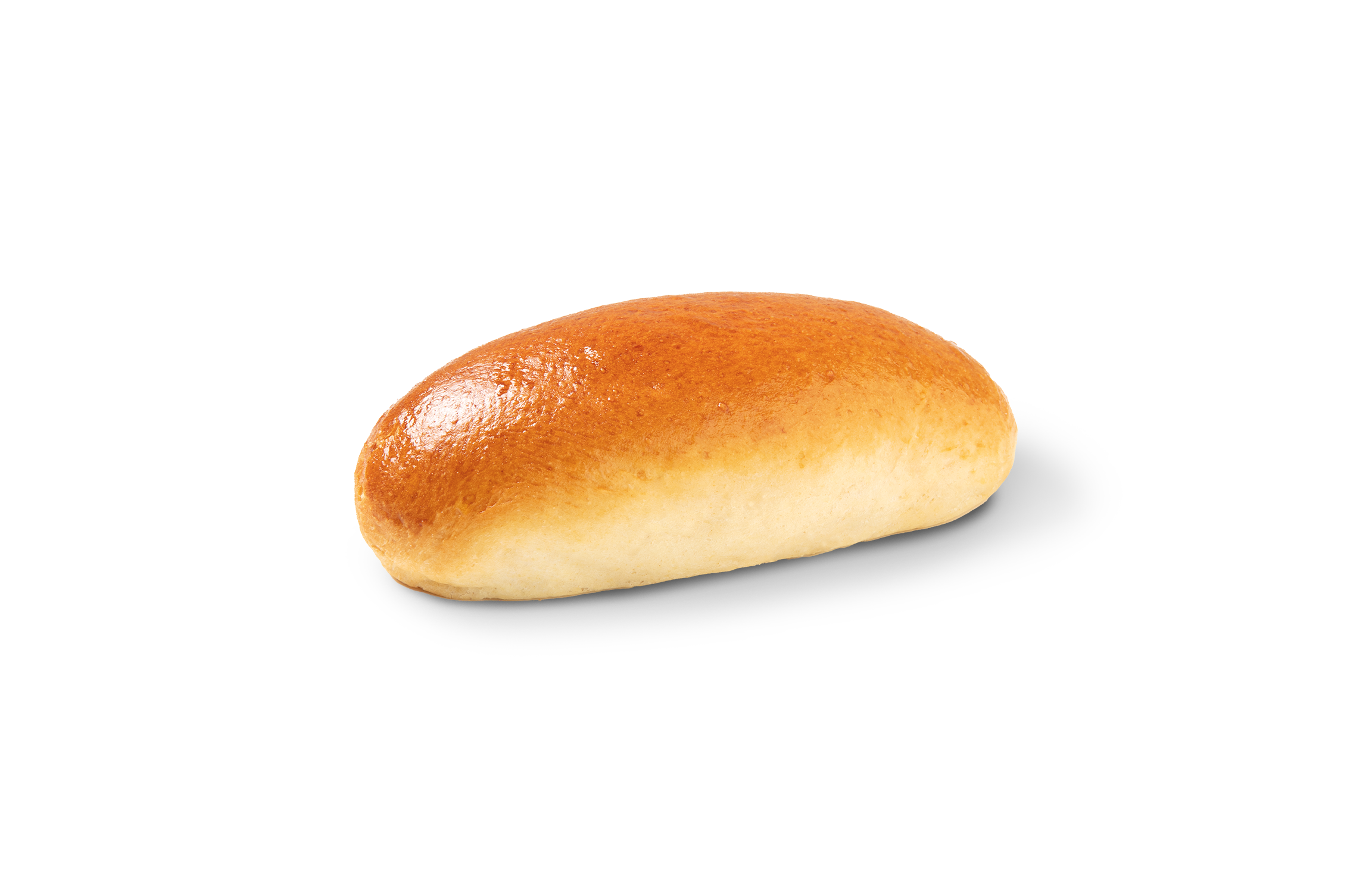 Panino