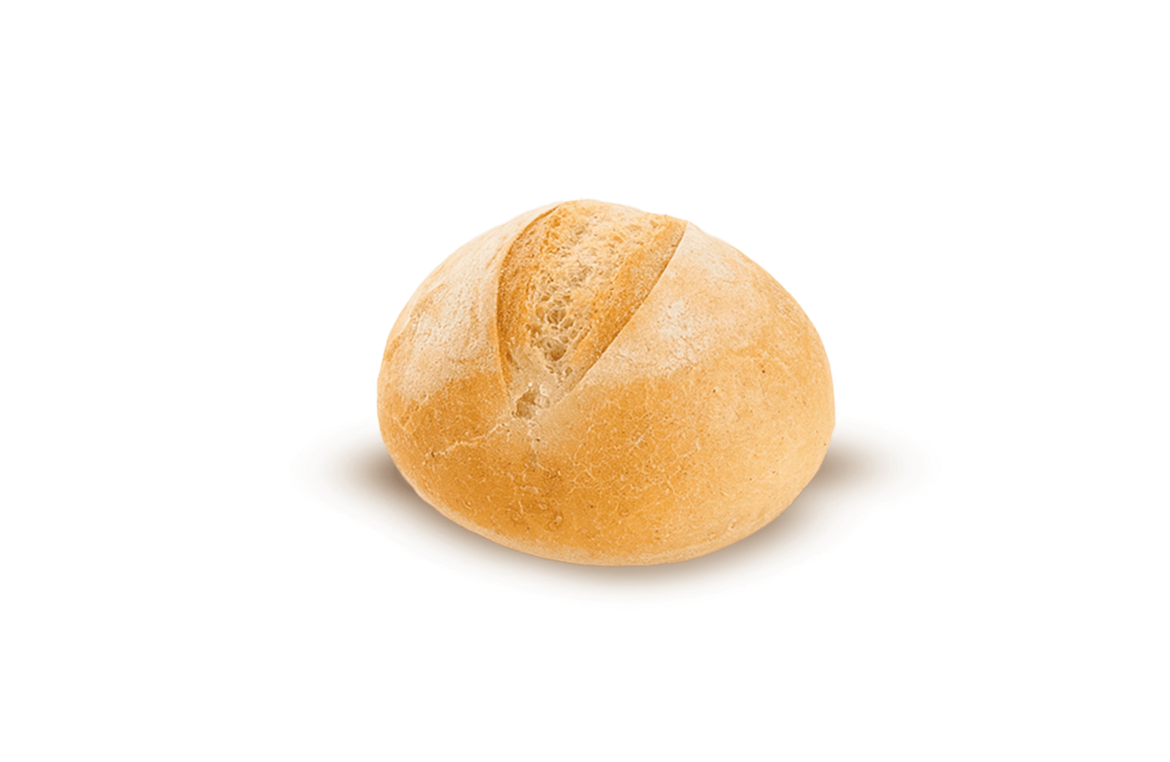 Panino