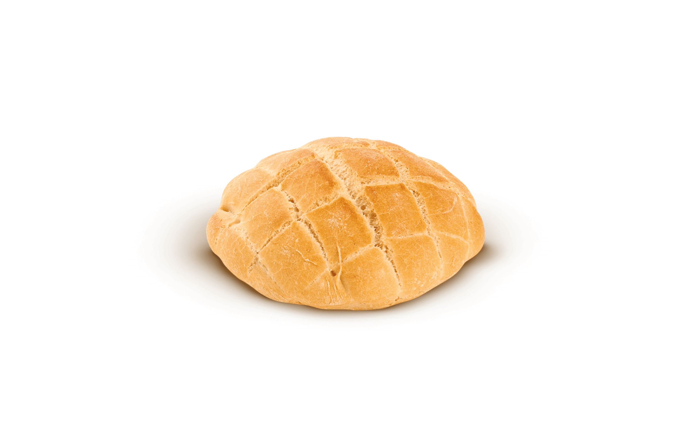 Panino