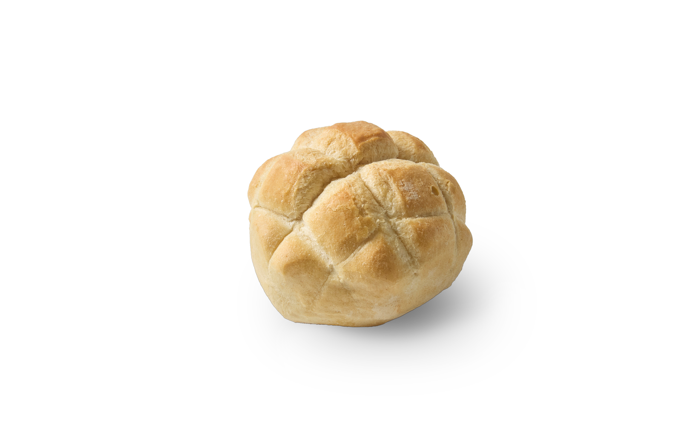 Tartaruga